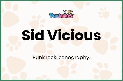 Sid Vicious dog name meaning