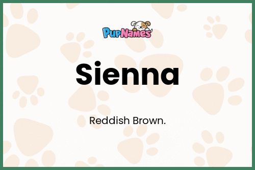 Sienna dog name meaning