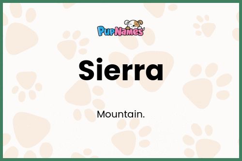 Sierra dog name meaning
