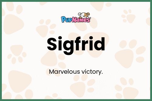 Sigfrid dog name meaning