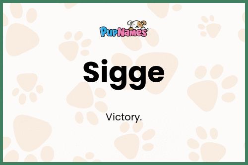 Sigge dog name meaning