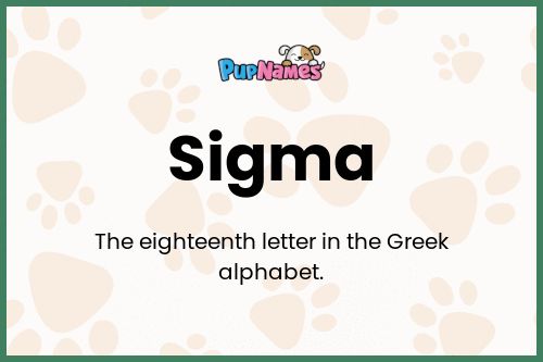 Sigma dog name meaning