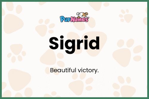 Sigrid dog name meaning