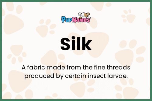 Silk dog name meaning