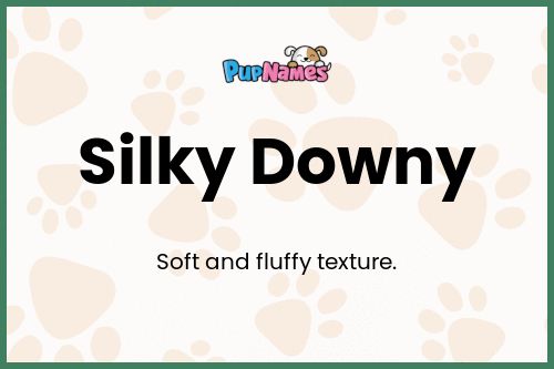 Silky Downy dog name meaning