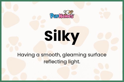 Silky dog name meaning