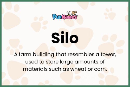 Silo dog name meaning