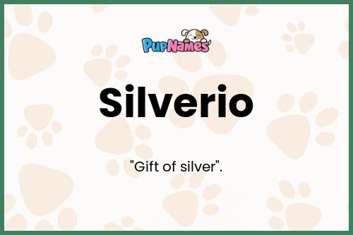 Silverio dog name meaning