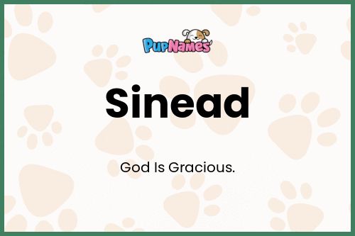 Sinead dog name meaning