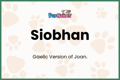 Siobhan dog name meaning