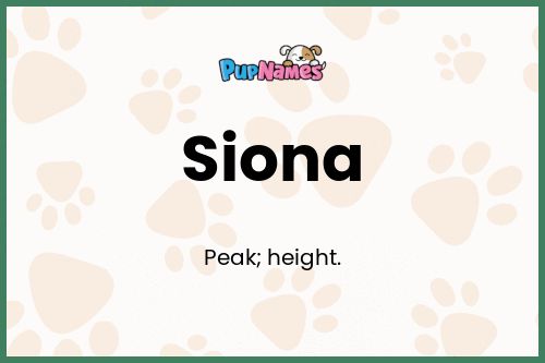 Siona dog name meaning