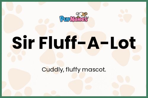 Sir Fluff-A-Lot dog name meaning