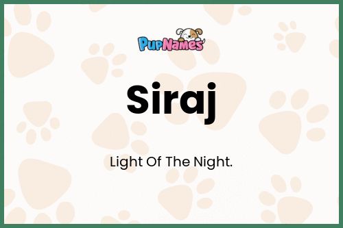 Siraj dog name meaning