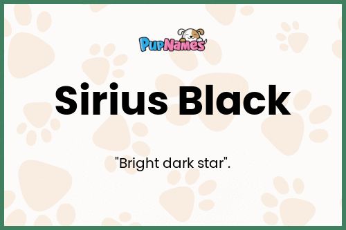 Sirius Black dog name meaning