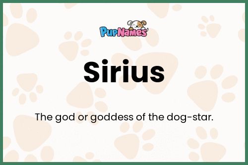 Sirius dog name meaning