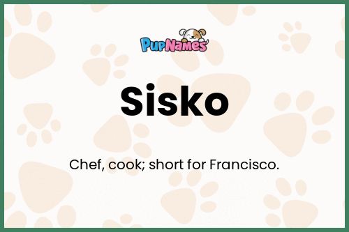 Sisko dog name meaning