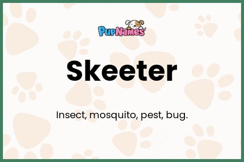 Skeeter dog name meaning