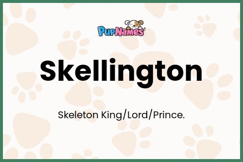 Skellington dog name meaning