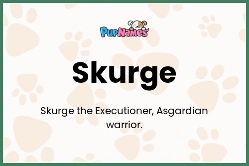 Skurge dog name meaning