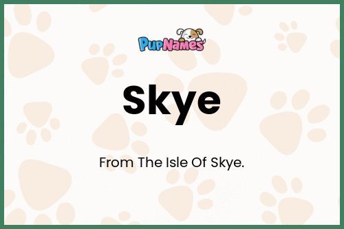 Skye dog name meaning