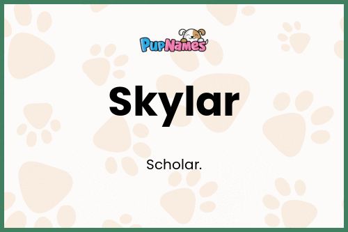 Skylar dog name meaning