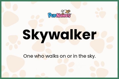 Skywalker dog name meaning