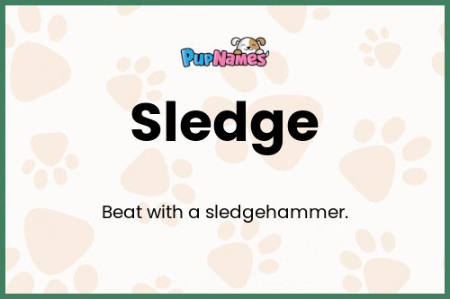 Sledge dog name meaning