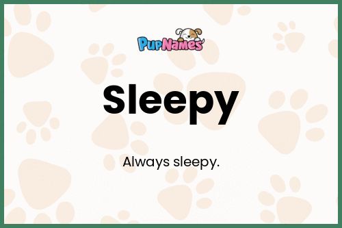 Sleepy dog name meaning