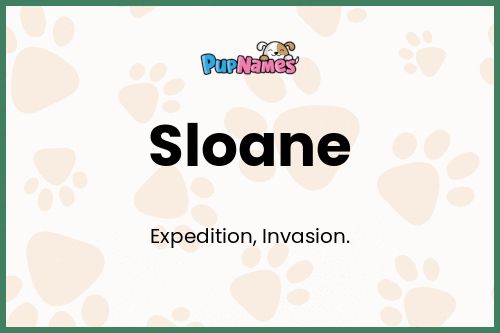 Sloane dog name meaning