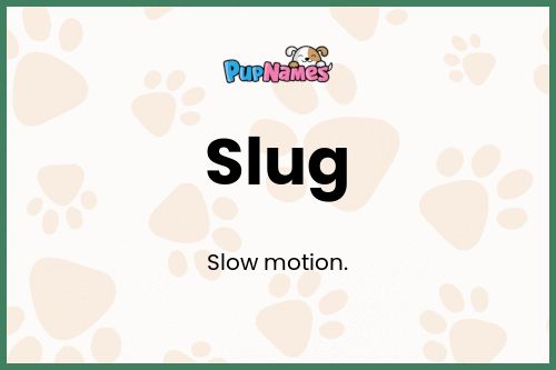 Slug dog name meaning