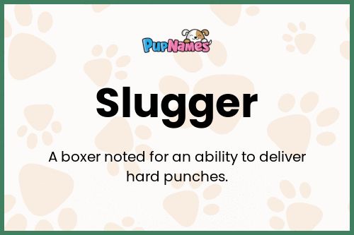 Slugger dog name meaning