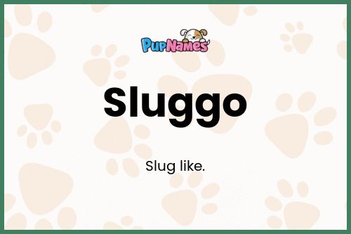 Sluggo dog name meaning