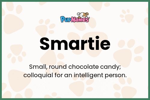 Smartie dog name meaning