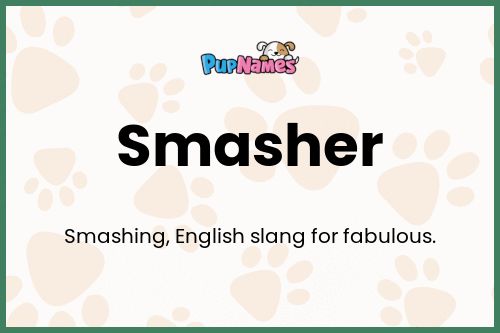 Smasher dog name meaning