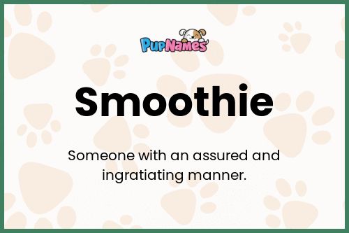 Smoothie dog name meaning