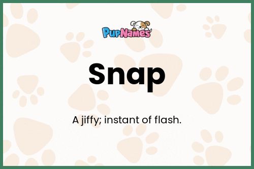 Snap dog name meaning