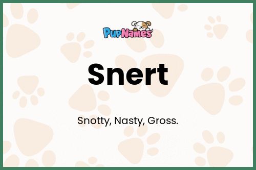 Snert dog name meaning