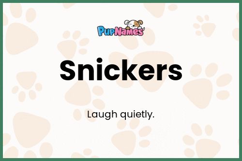 Snickers dog name meaning