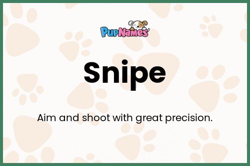 Snipe dog name meaning