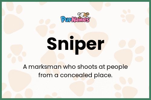 Sniper dog name meaning