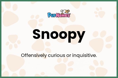 Snoopy dog name meaning