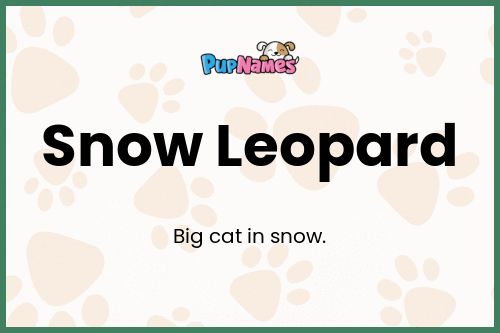 Snow Leopard dog name meaning