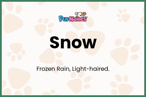 Snow dog name meaning