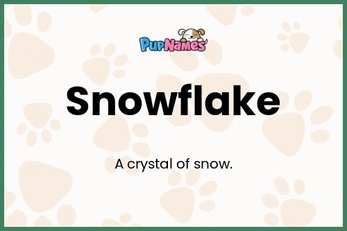 Snowflake dog name meaning