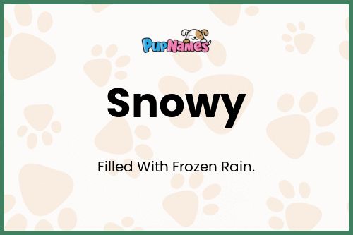 Snowy dog name meaning
