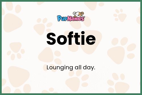 Softie dog name meaning