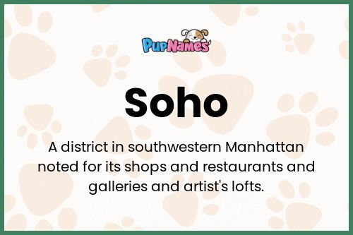 Soho dog name meaning