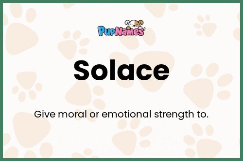 Solace dog name meaning