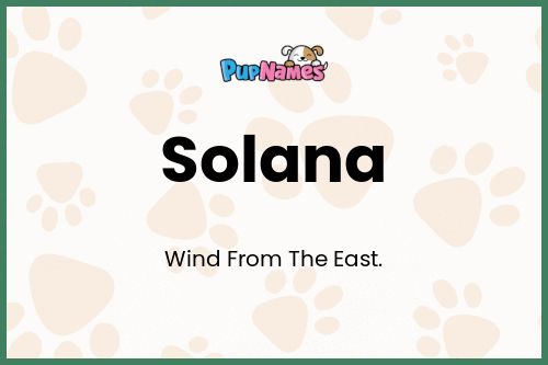 Solana dog name meaning