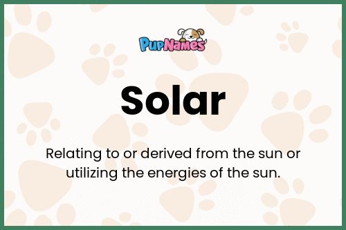 Solar dog name meaning